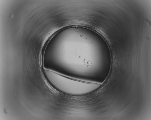 X0000103401128200809191515