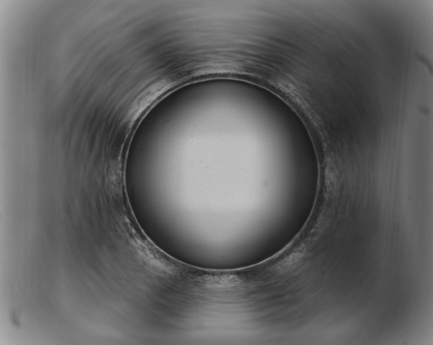 X0000103401129200809191515