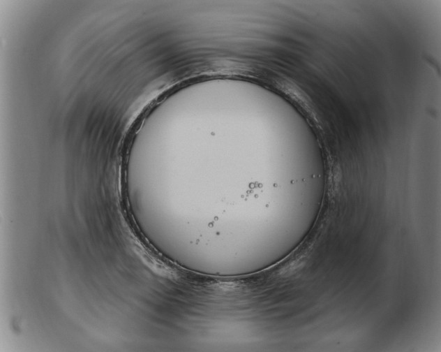 X0000103401130200809191515