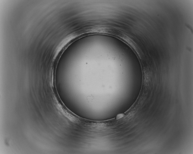 X0000103401131200809191515