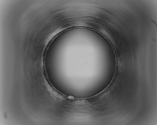 X0000103401133200809191515