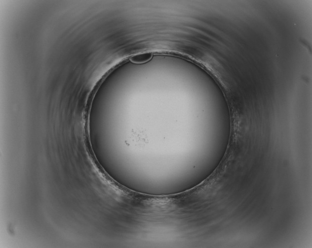 X0000103401134200809191515