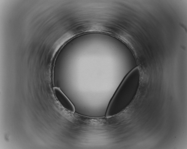 X0000103401138200809191515