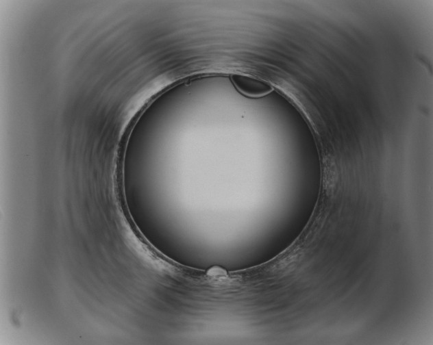 X0000103401139200809191515