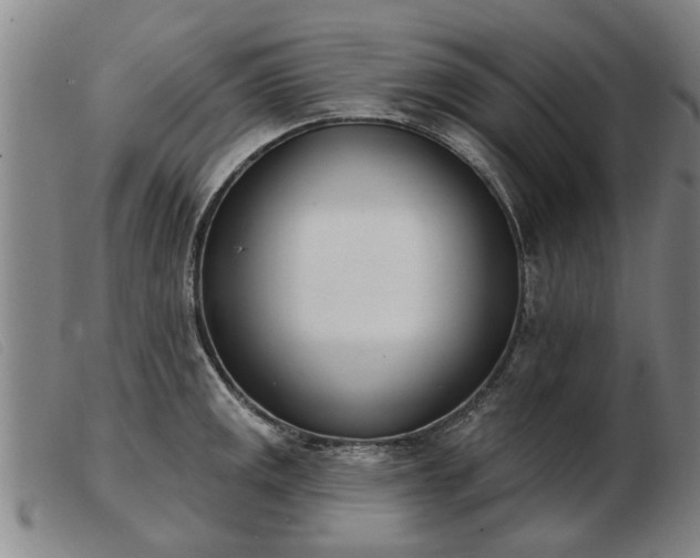 X0000103401141200809191515