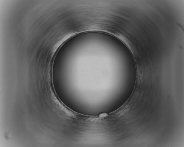 X0000103401142200809191515