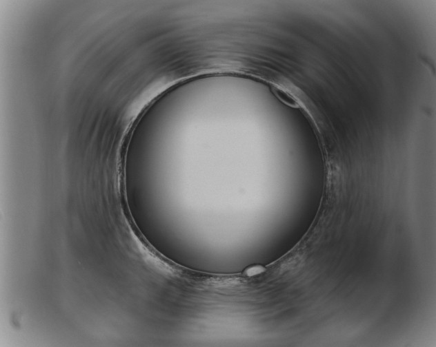 X0000103401143200809191515