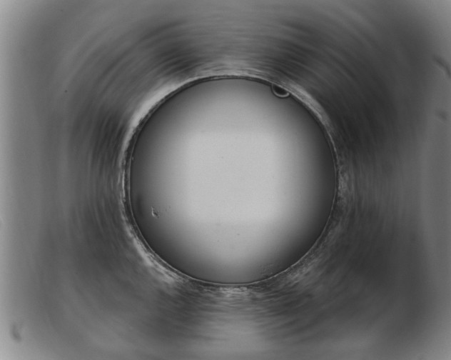 X0000103401144200809191515