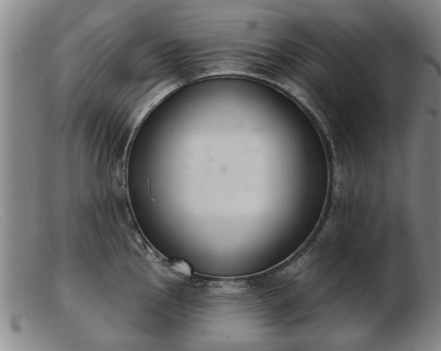 X0000103401145200809191515