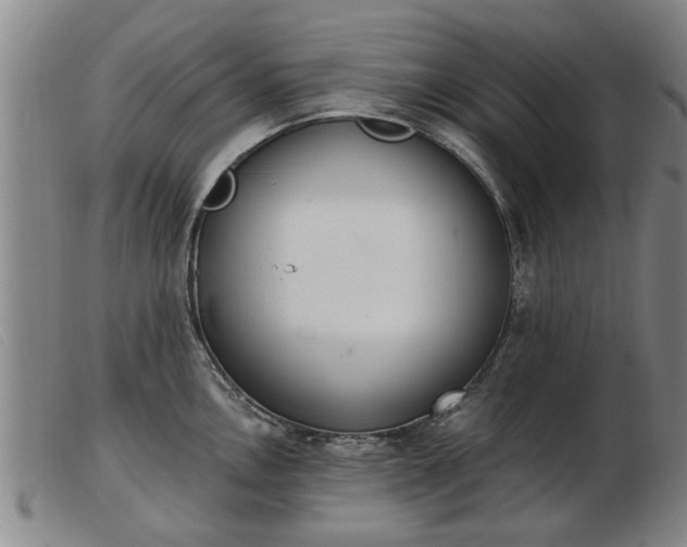 X0000103401146200809191515