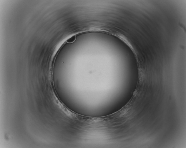 X0000103401148200809191515