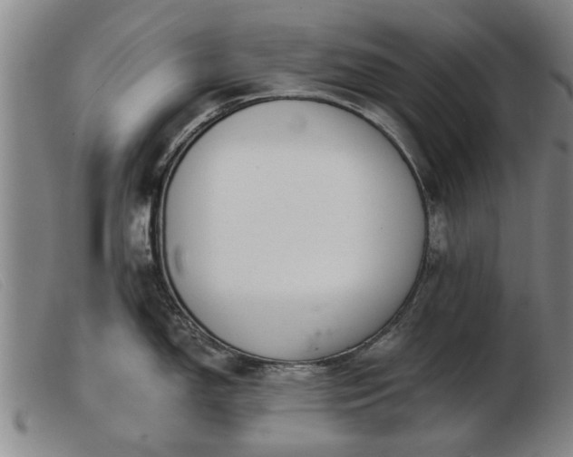 X0000103401150200809191515