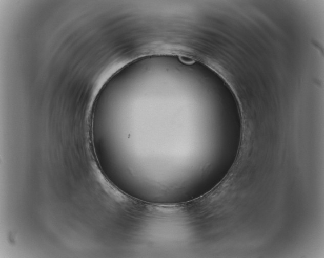 X0000103401152200809191515