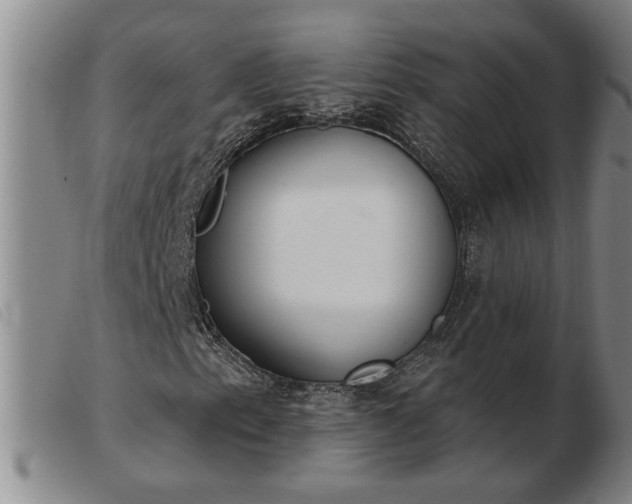 X0000103401153200809191515