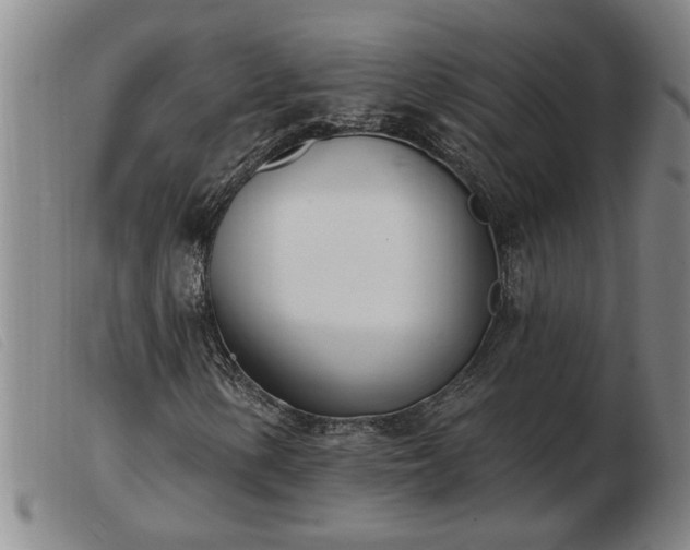 X0000103401154200809191515