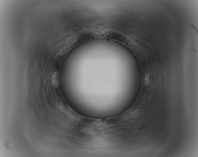 X0000103401156200809191514