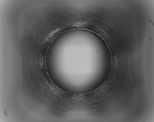 X0000103401158200809191514