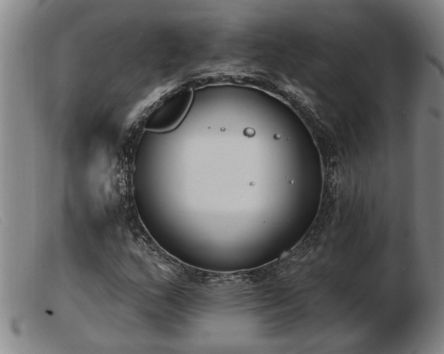 X0000103401159200809191514