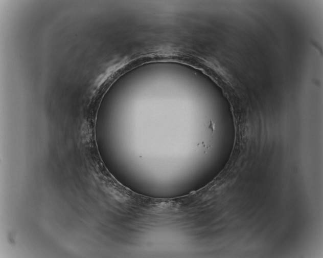 X0000103401160200809191514