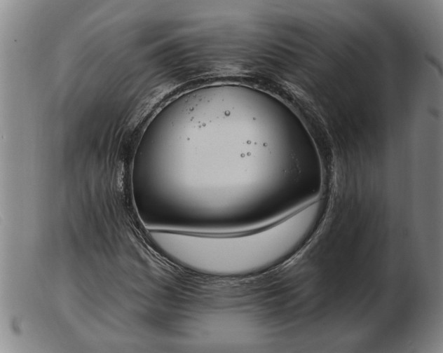 X0000103401161200809191514