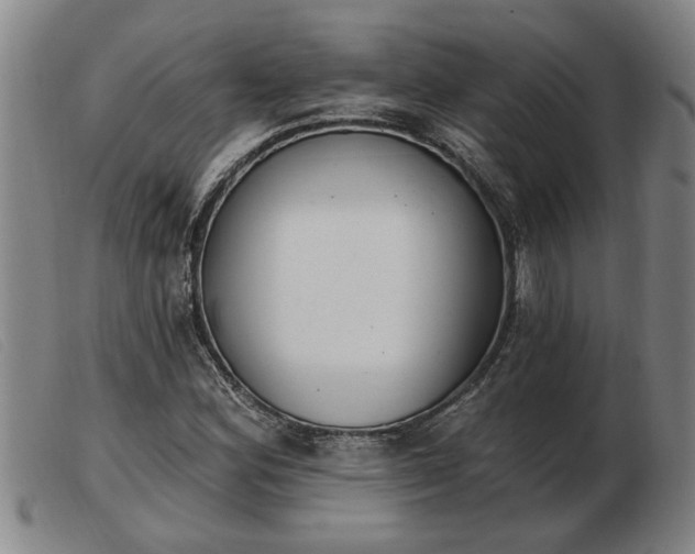 X0000103401164200809191514