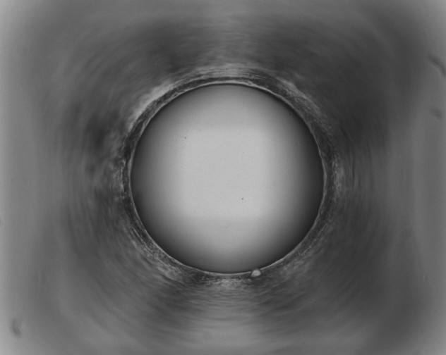 X0000103401166200809191514