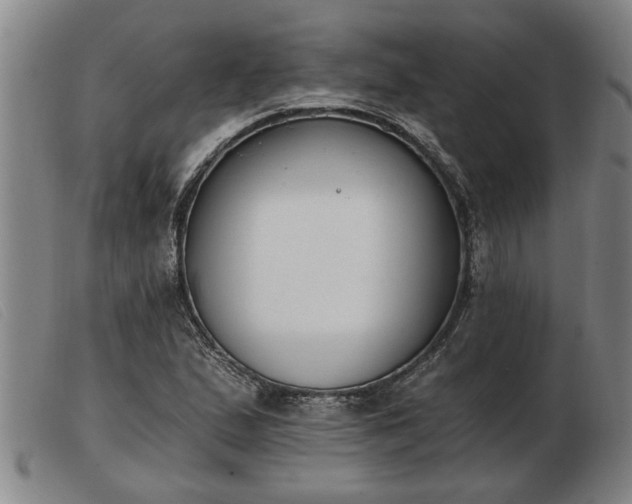 X0000103401167200809191514