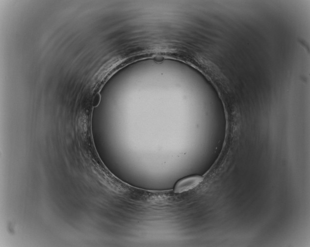 X0000103401169200809191514