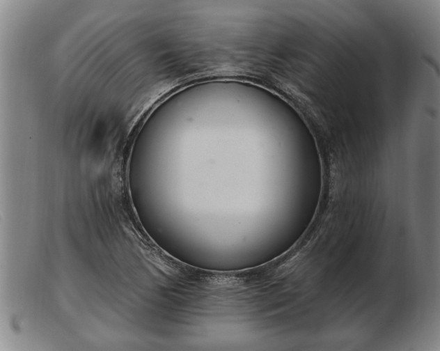 X0000103401170200809191514