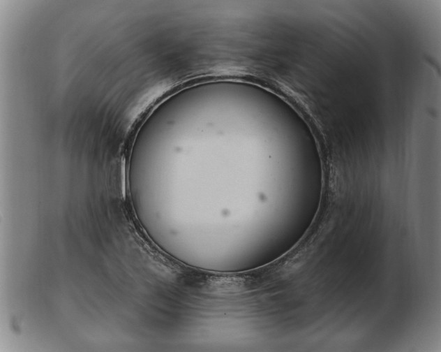 X0000103401171200809191514