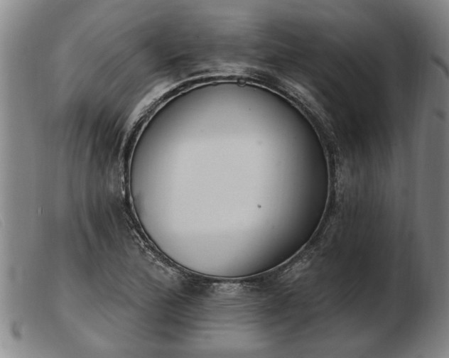 X0000103401172200809191514