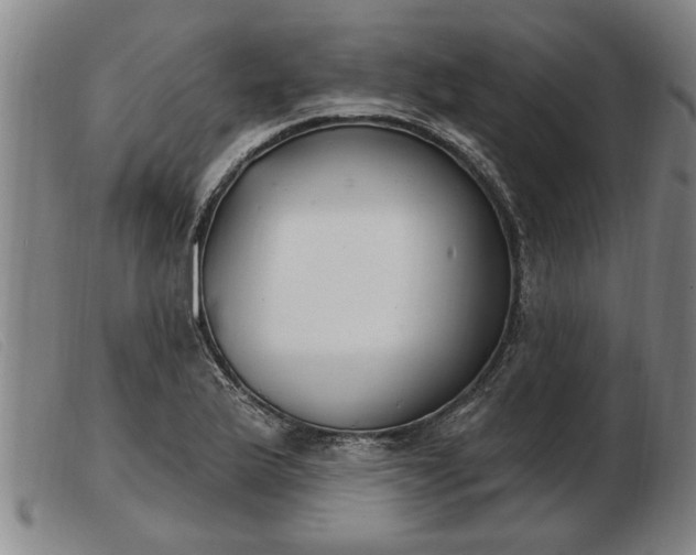 X0000103401175200809191514