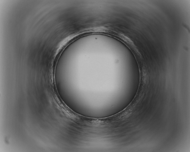 X0000103401176200809191514