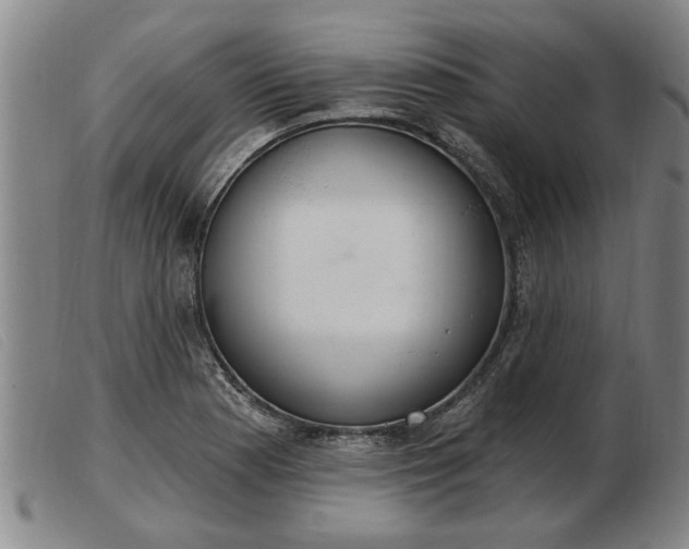 X0000103401177200809191514