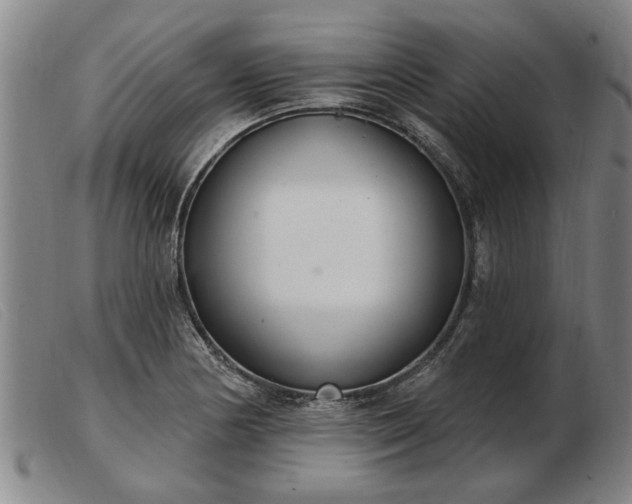 X0000103401178200809191514