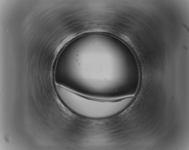 X0000103401181200809191514