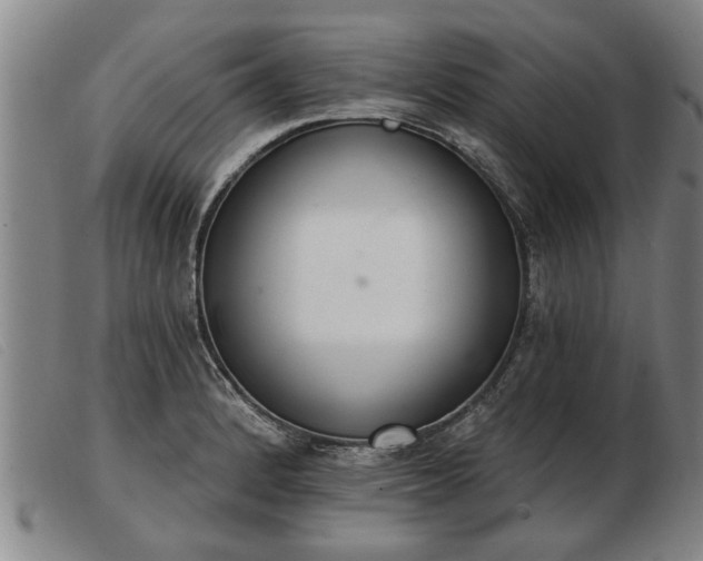 X0000103401184200809191514