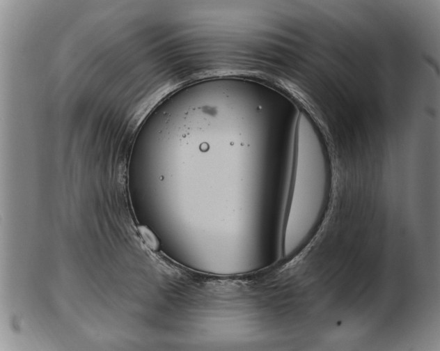 X0000103401185200809191514