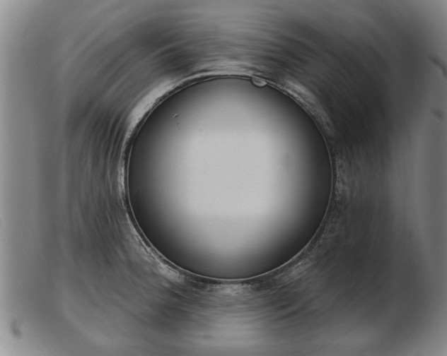 X0000103401188200809191514