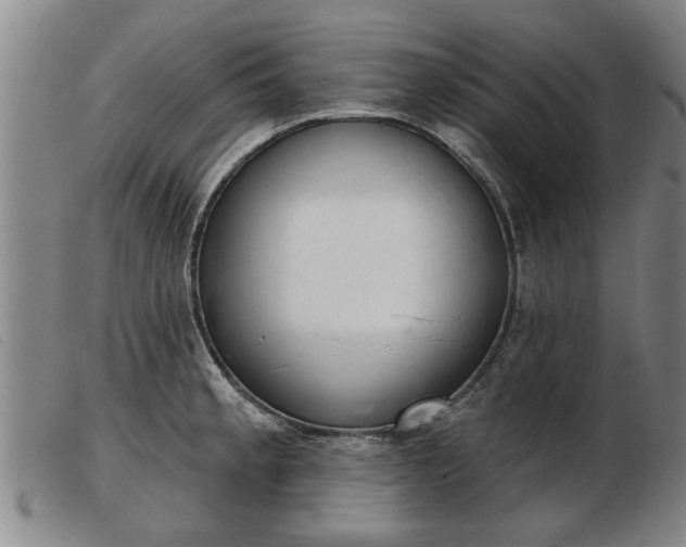 X0000103401189200809191514