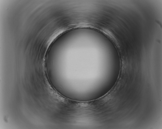 X0000103401190200809191514