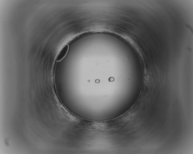 X0000103401191200809191514