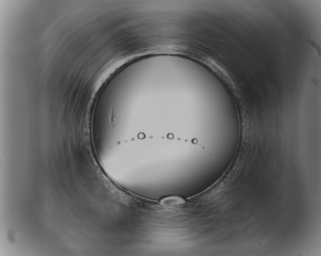 X0000103401192200809191514