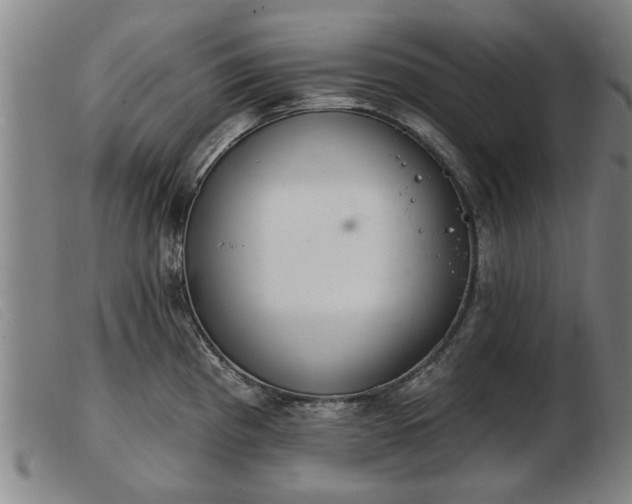 X0000103401193200809191514