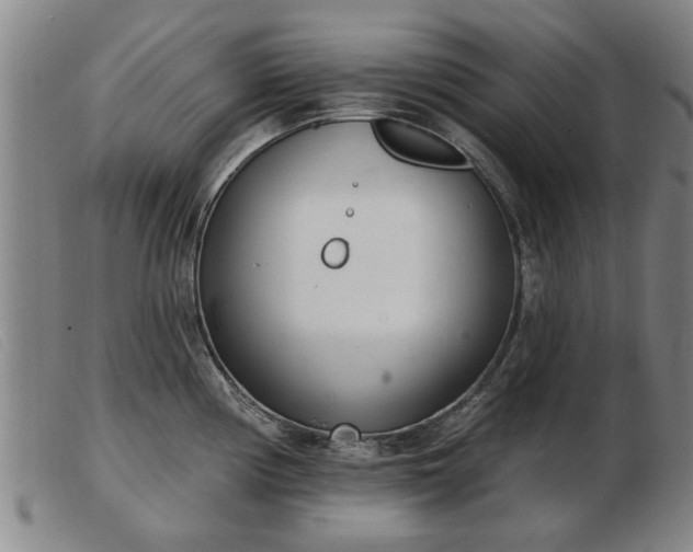 X0000103401194200809191514