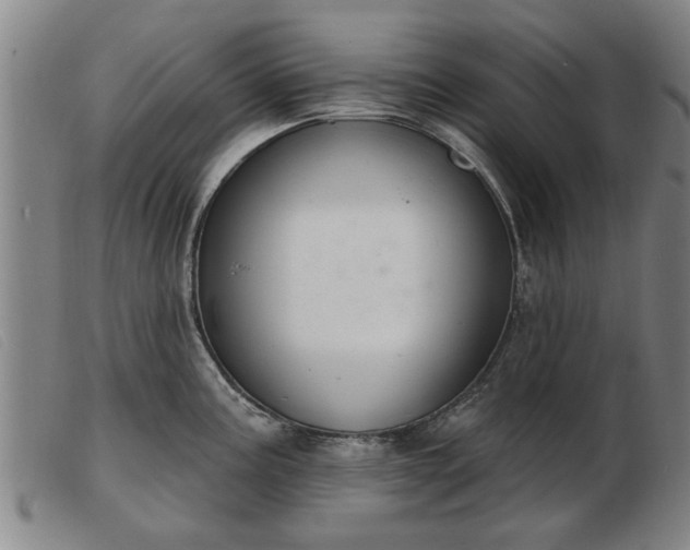 X0000103401195200809191514