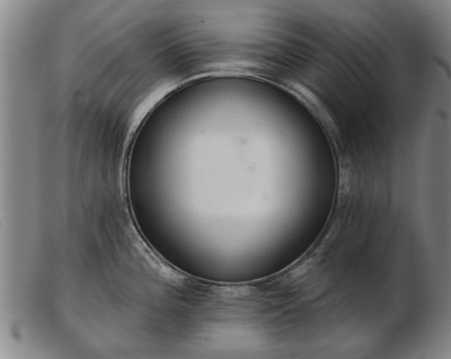 X0000103401196200809191514