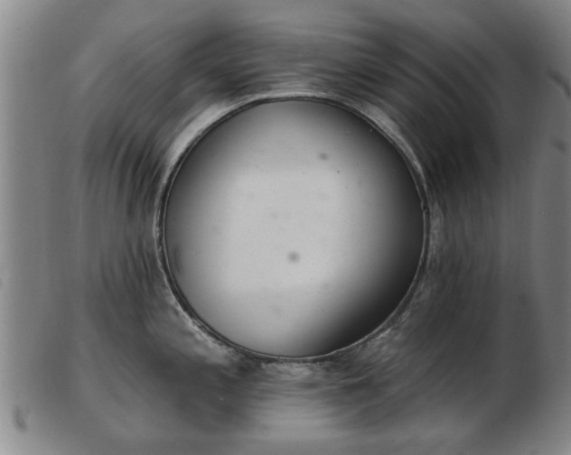 X0000103401197200809191514