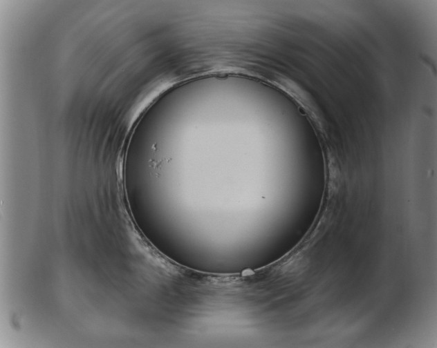 X0000103401198200809191514