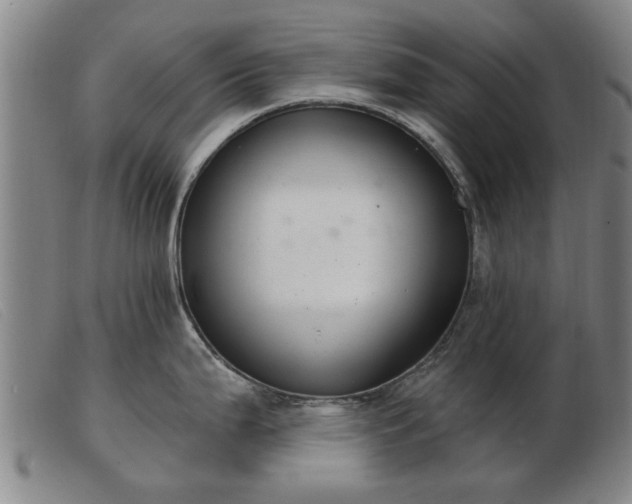 X0000103401199200809191514